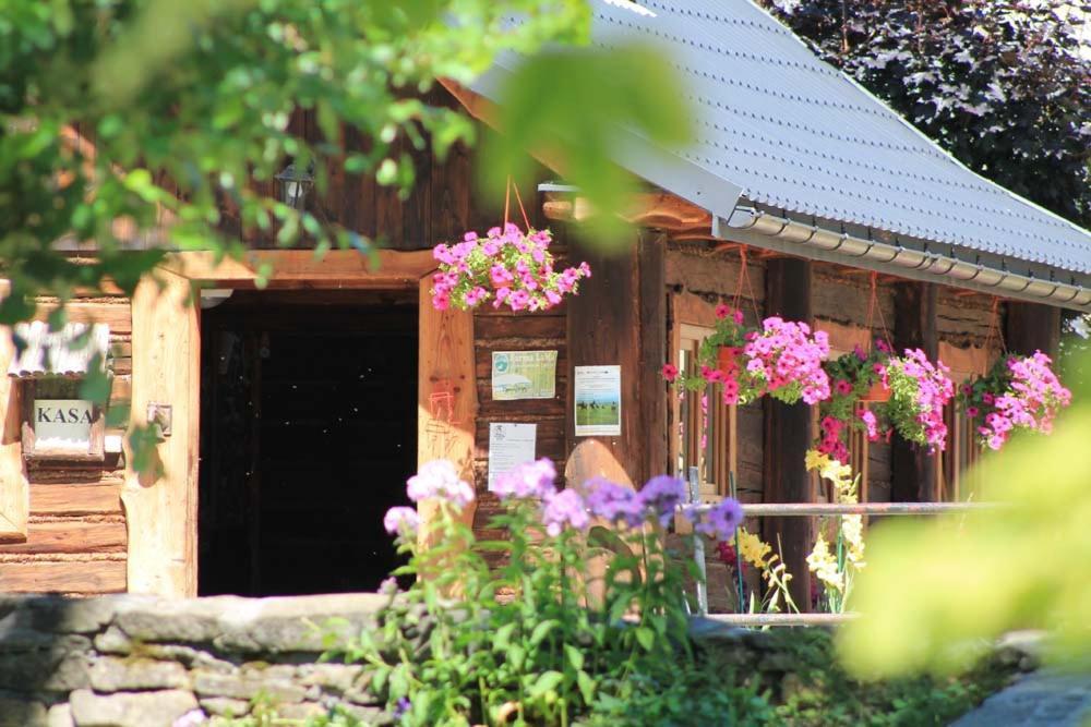 Farma Lama Dom Goscinny Tylicz ภายนอก รูปภาพ