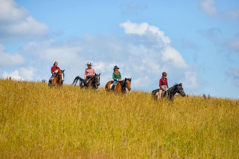 Farma Lama Dom Goscinny Tylicz ภายนอก รูปภาพ